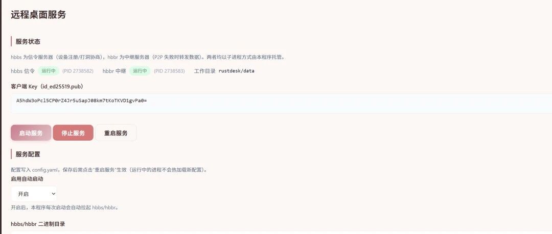 告别 TeamViewer / 向日葵：用 RustDesk + 柔晶美软件把自己兜里的远控服务器私有化