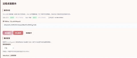 告别 TeamViewer / 向日葵：用 RustDesk + 柔晶美软件把自己兜里的远控服务器私有化