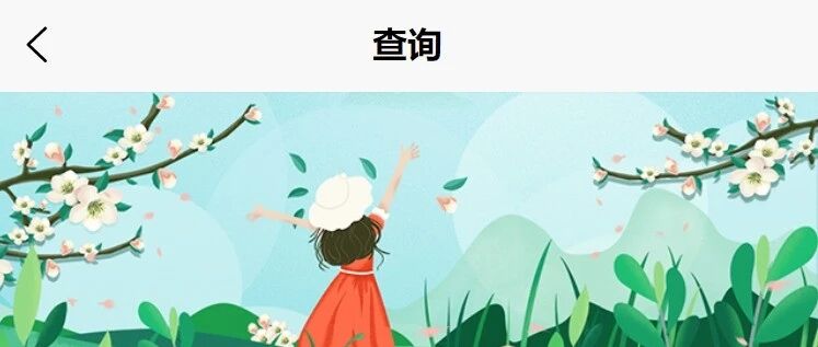 v4极速查询精简版，golang+uniapp全端源码